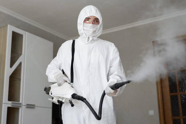 Best Comprehensive Air Testing for Mold Contaminants in Larchmont, NY